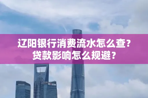 辽阳银行消费流水怎么查?贷款影响怎么规避?